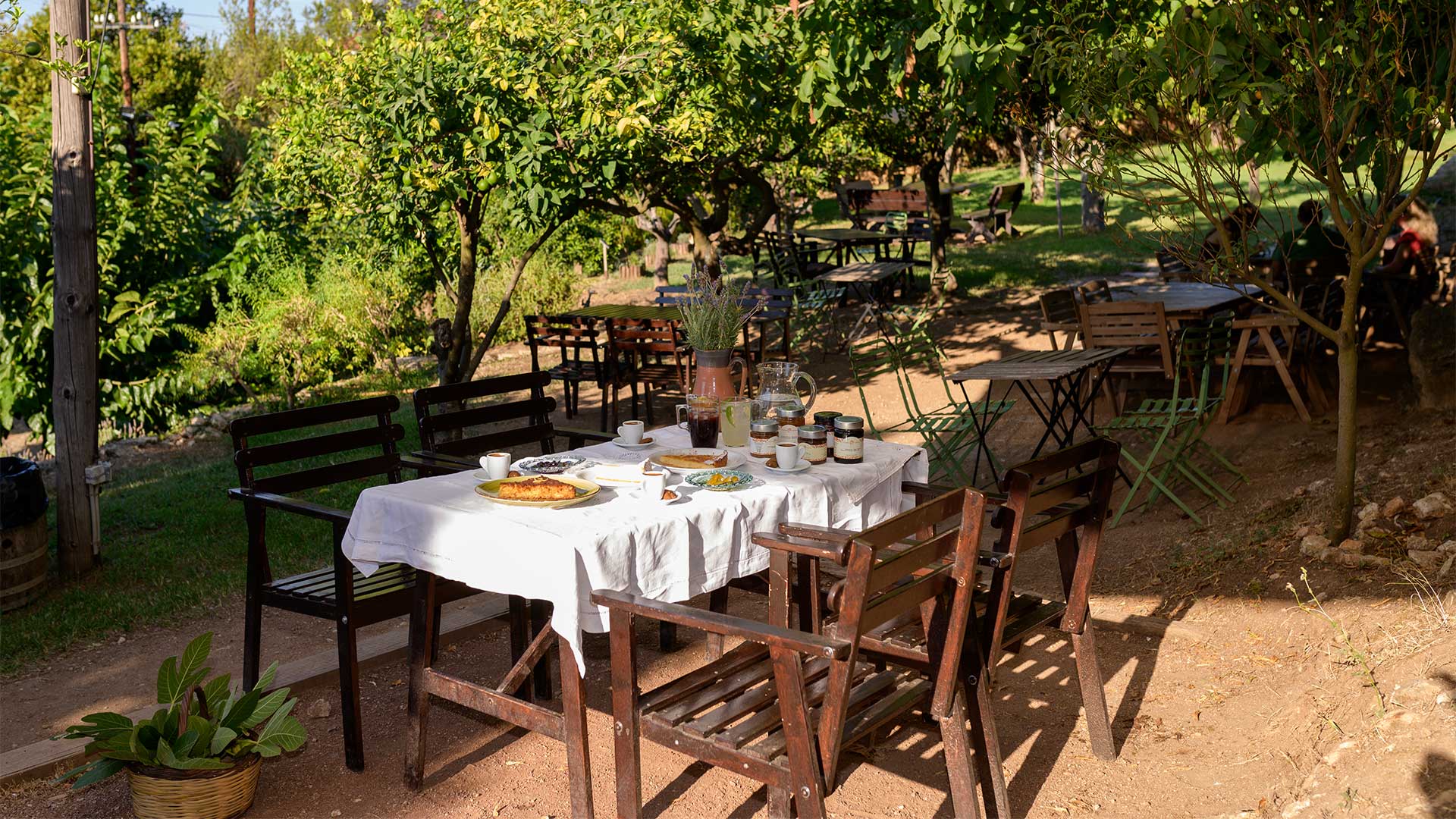 Ο παλιός νερόμυλος της Κυπαρισσίας αναστηλώθηκε και λειτουργεί ξανά-6