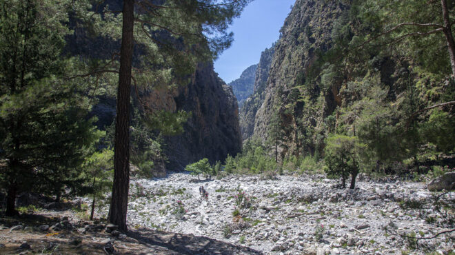 φαράγγι-της-σαμαριάς-ανοιξε-με-νέο-καν-563228623