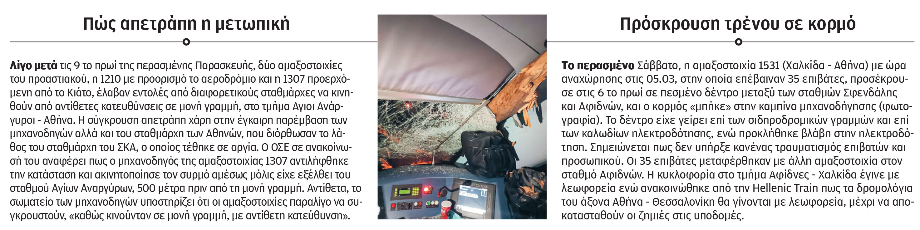 Σιδηρόδρομος: Γιατί «φυτρώνουν» δέντρα στις ράγες;-1