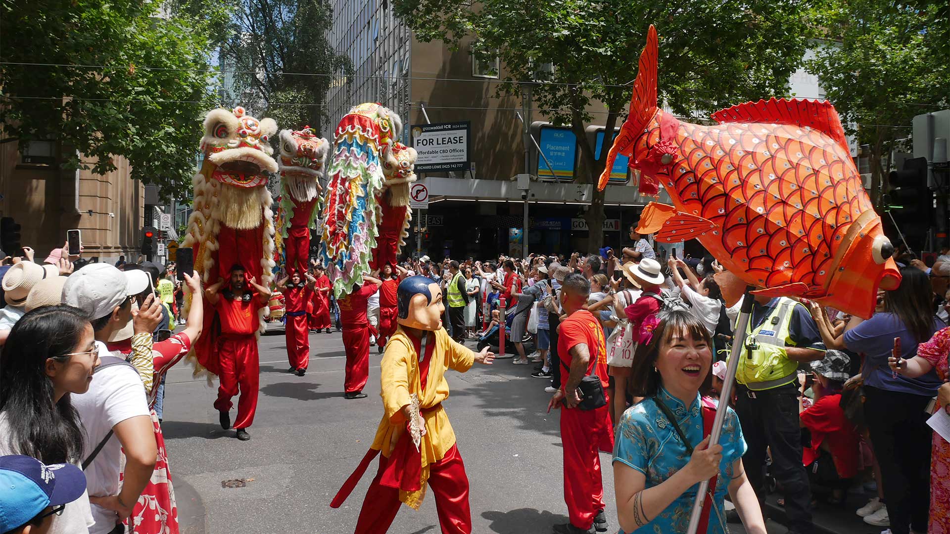 Road trip στην ανατολική Αυστραλία με ένα βαν-4