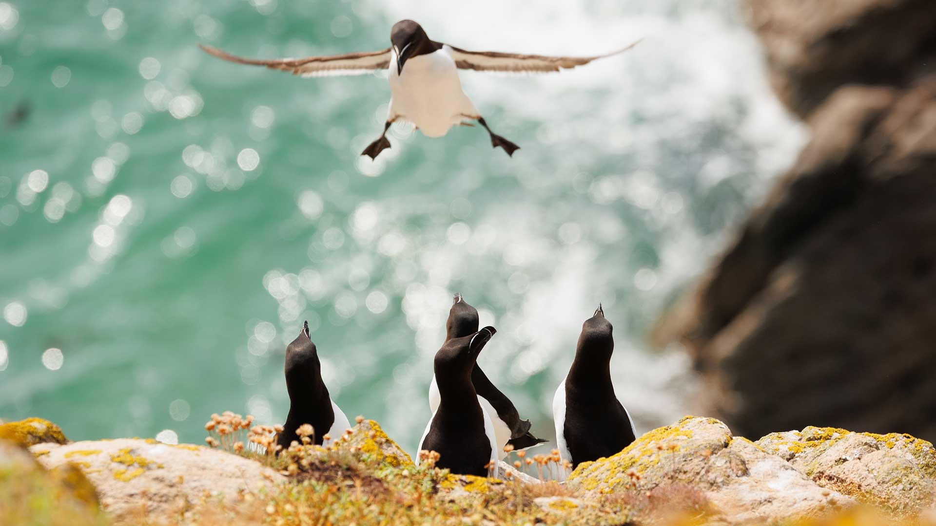 15 από τις πιο αστείες φωτογραφίες ζώων που κυκλοφόρησαν φέτος-9