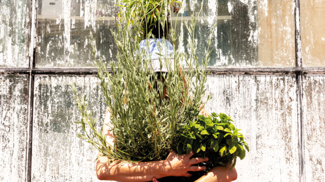 πώς-η-κηπουρική-μειώνει-το-στρες-και-πο-563218213