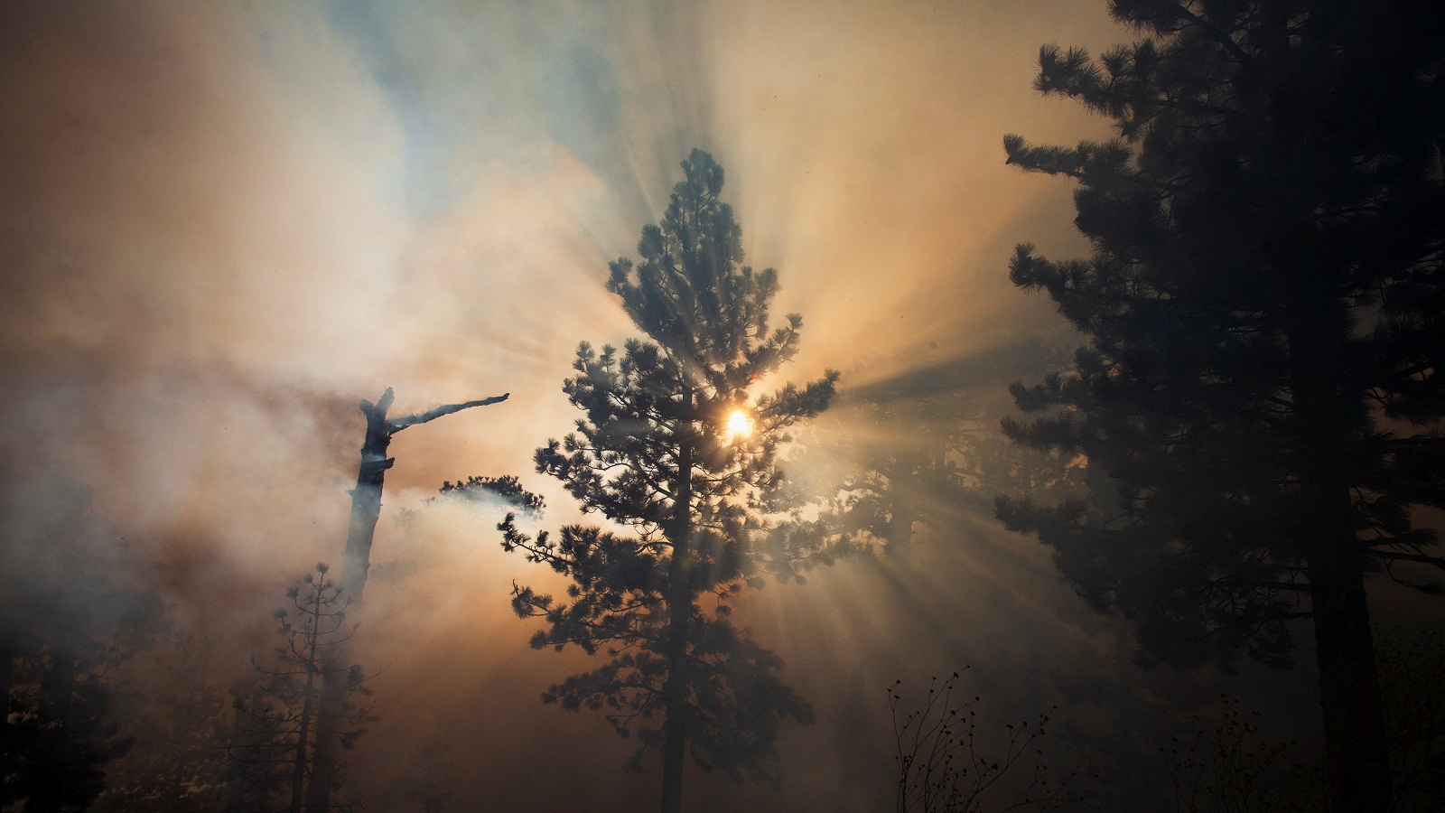 Λος Αντζελες: Πυρκαγιές ζώνουν την πόλη, κάηκαν δεκάδες σπίτια [εικόνες]-3