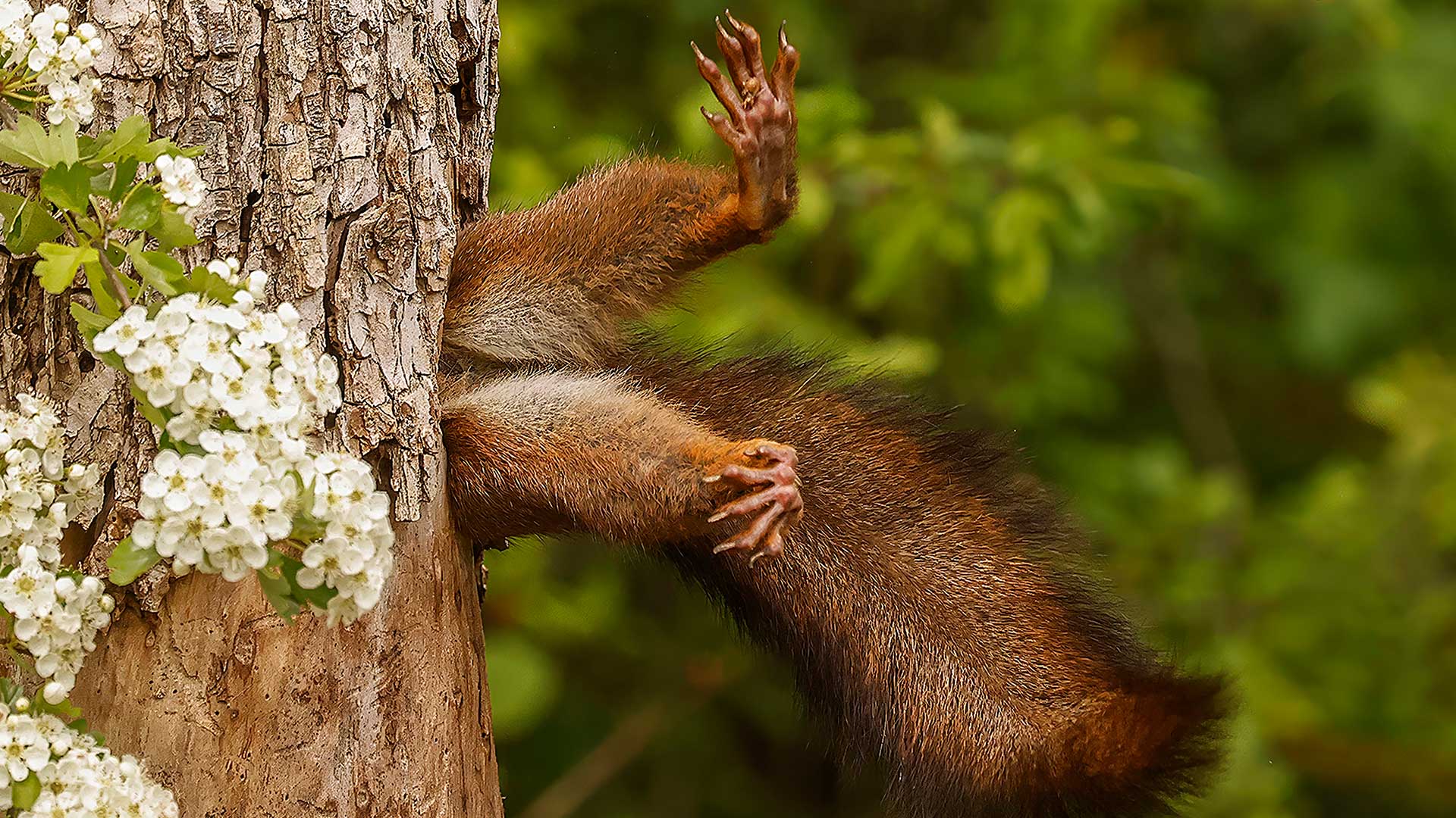 15 από τις πιο αστείες φωτογραφίες ζώων που κυκλοφόρησαν φέτος-12
