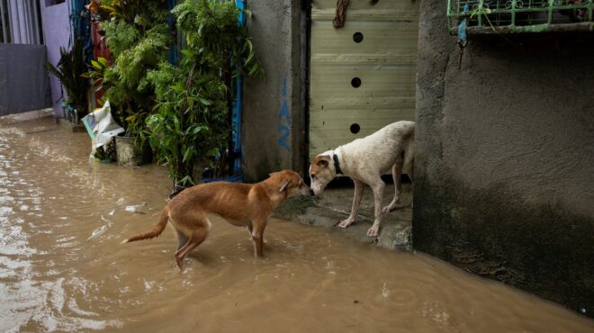 φιλιππίνες-στους-13-οι-νεκροί-από-την-τρ-563200483