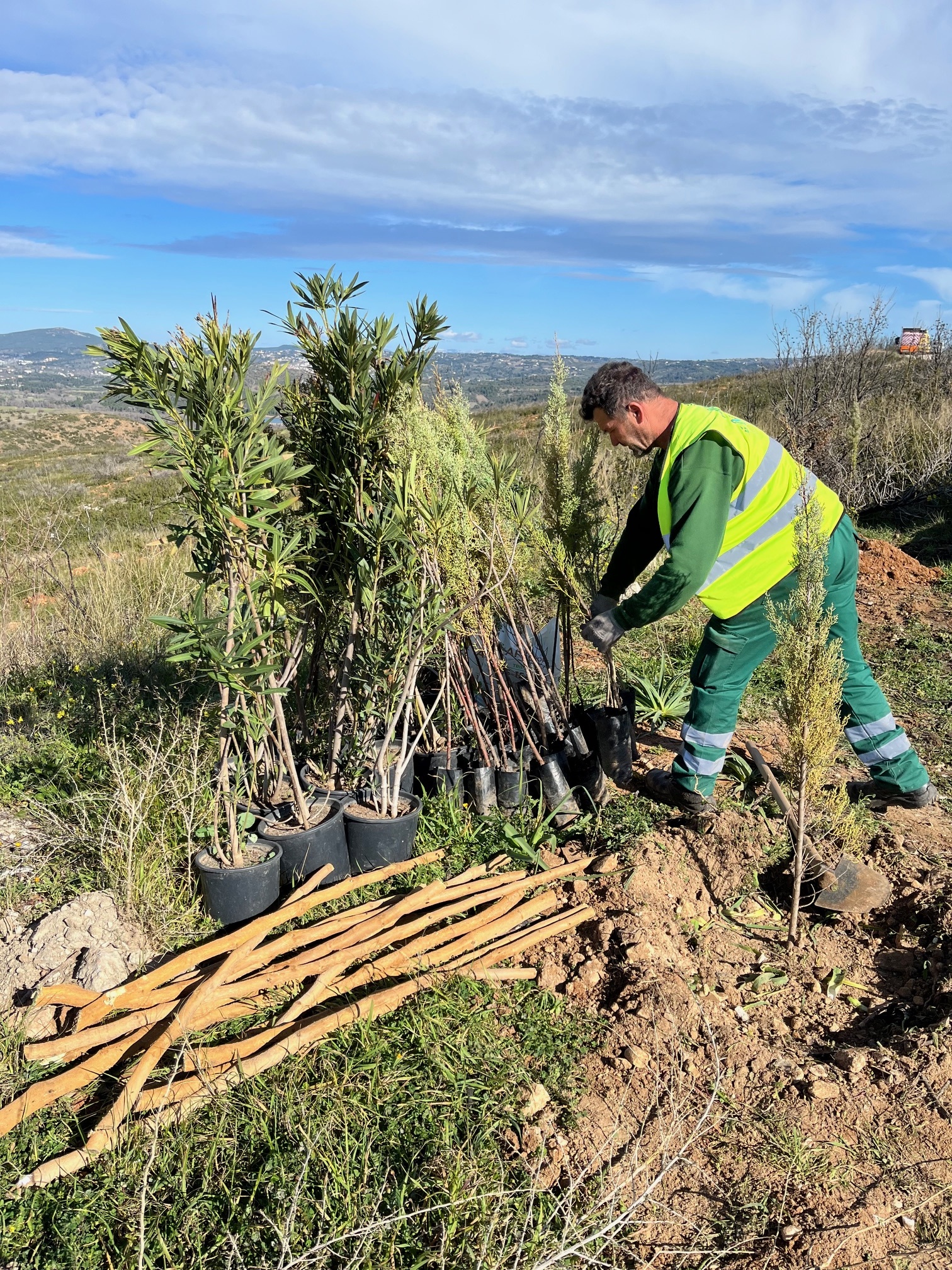 Η Αττική Οδός έδωσε ξανά ζωή σε πνεύμονες πρασίνου που  επλήγησαν από πυρκαγιές-2