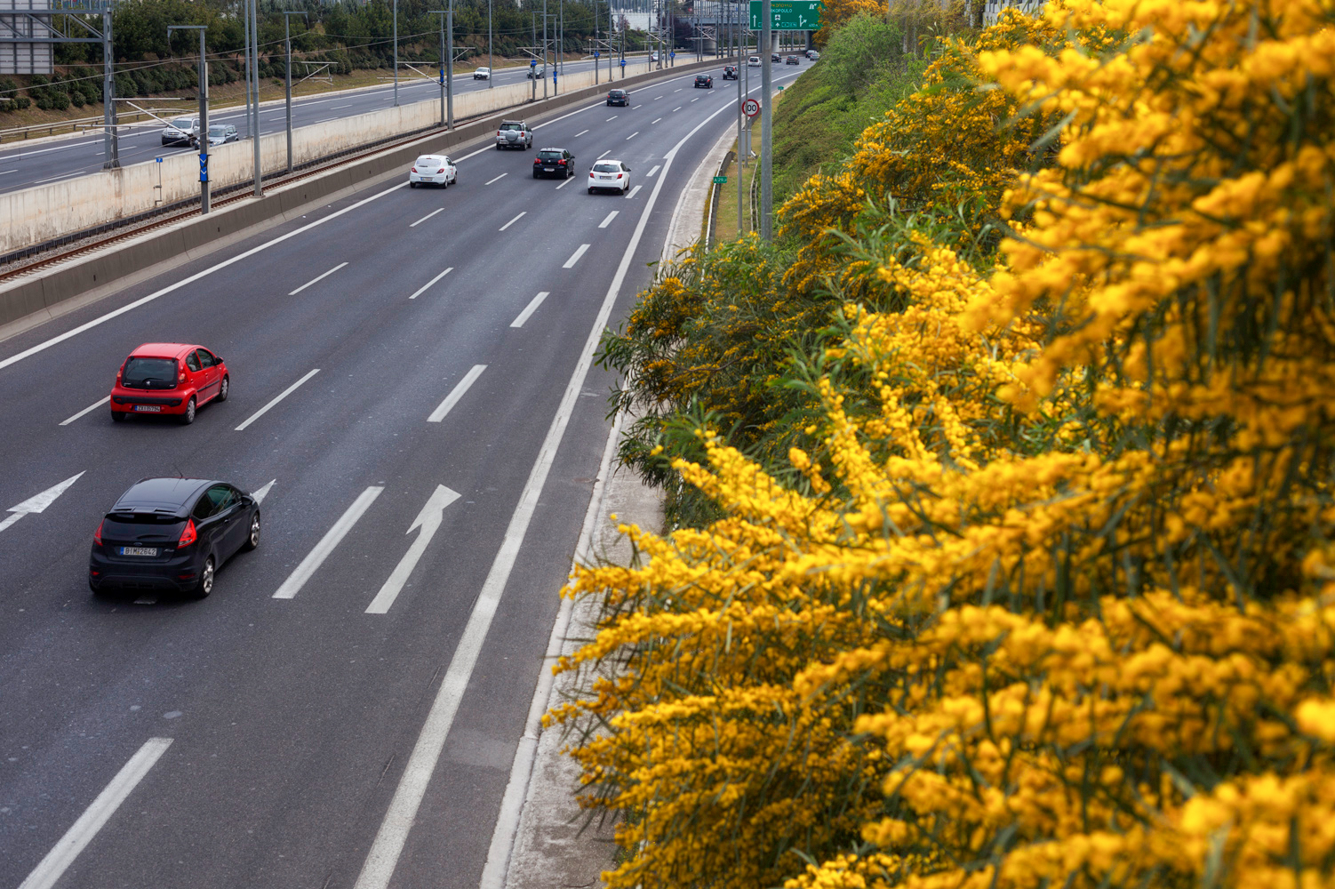 Η Αττική Οδός έδωσε ξανά ζωή σε πνεύμονες πρασίνου που  επλήγησαν από πυρκαγιές-3