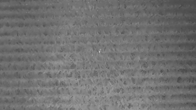 drone-εντόπισε-3χρονο-σε-κτήμα-έκτασης-όσο-100-563206378