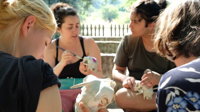 ελληνογερμανικό-ίδρυμα-νεολαίας-στη-563209507