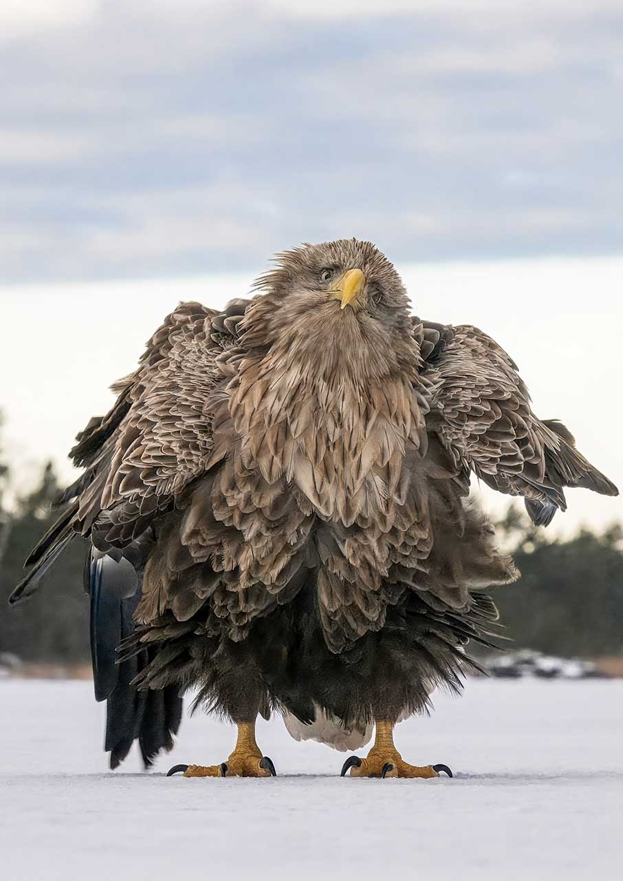 15 από τις πιο αστείες φωτογραφίες ζώων που κυκλοφόρησαν φέτος-14