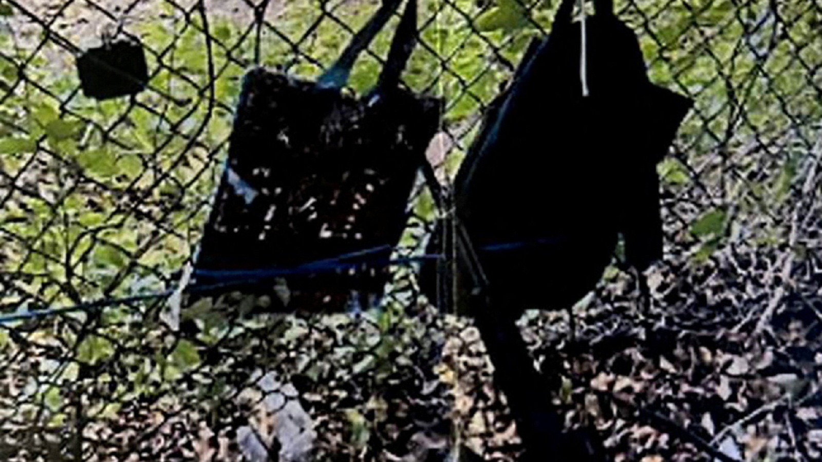 Νέα απόπειρα κατά Τραμπ: Ασφαλής ο τέως πρόεδρος – Σύλληψη 58χρονου από τη Χαβάη-2