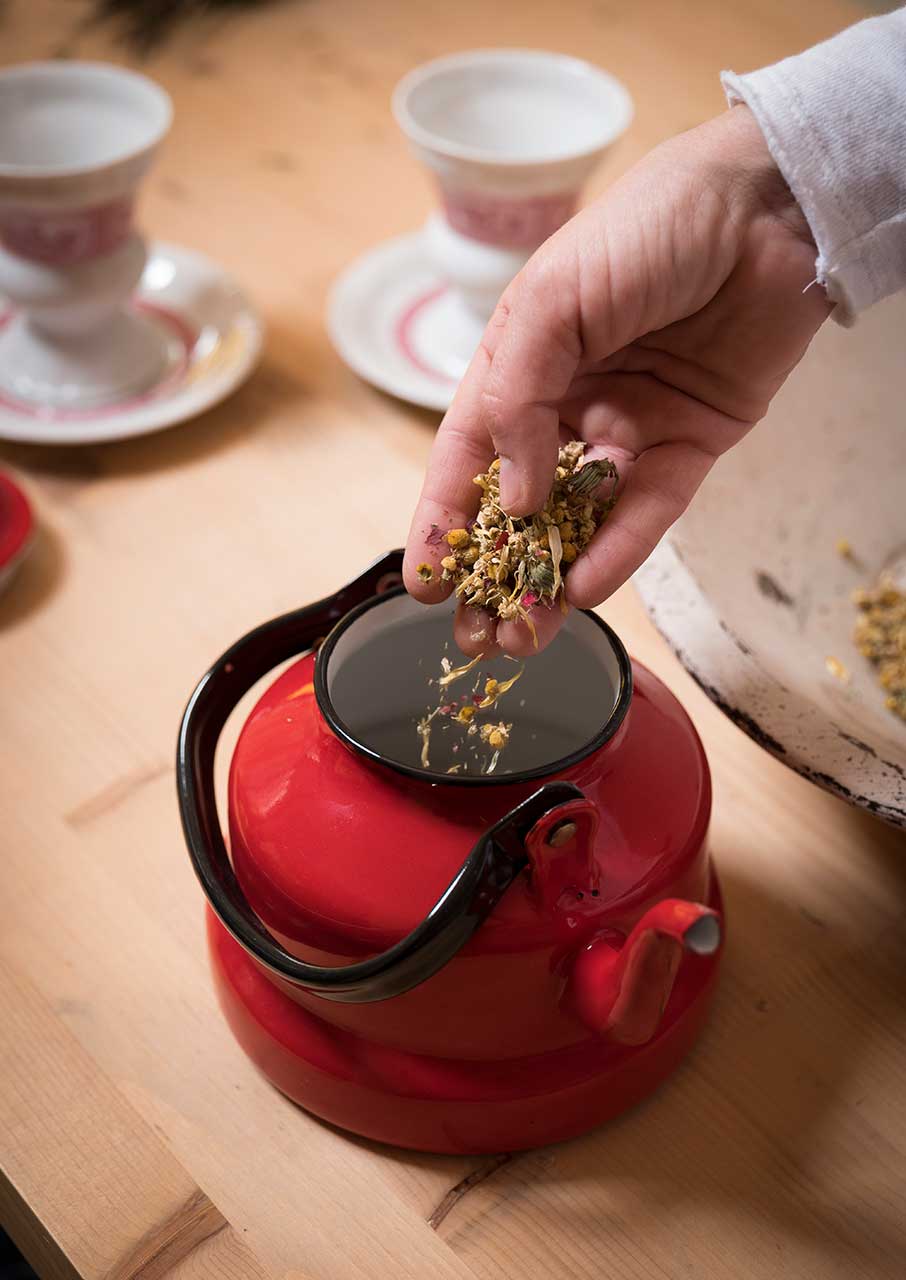 Τα μυστικά των βοτάνων σε ένα θεματικό τριήμερο στη φύση-1