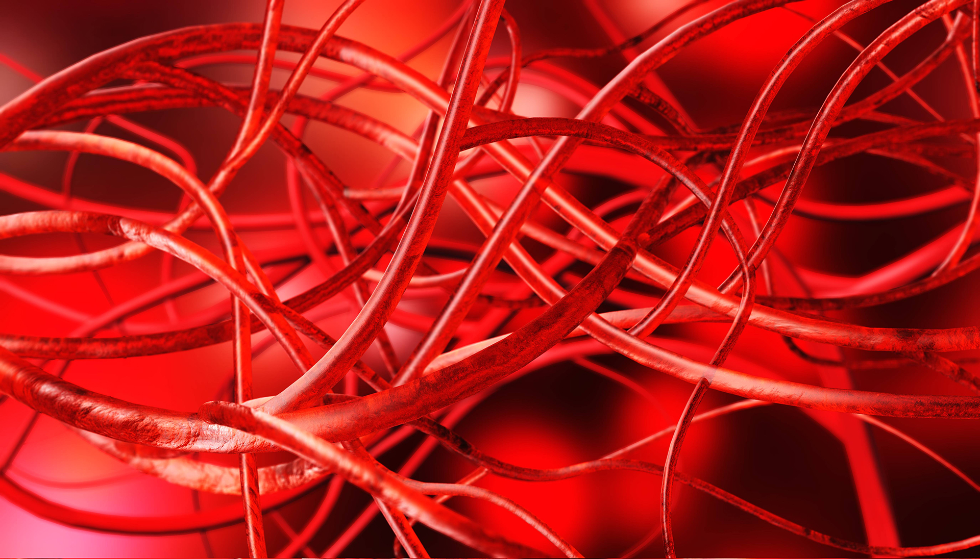 Αποκωδικοποιώντας το κακό κυκλοφορικό-2