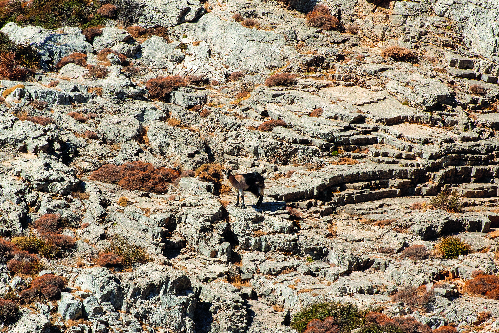 Οσα είπαν οι Xylouris White για την εκστατική τους συναυλία στο Ιδαίο Άντρο-1