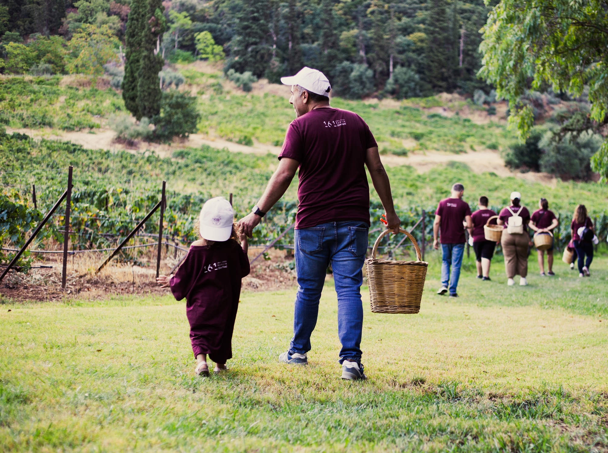 Τρυγώντας σταφύλια με φόντο πατρινές ιστορίες και παρέα τον Γουσταύο Κλάους-3