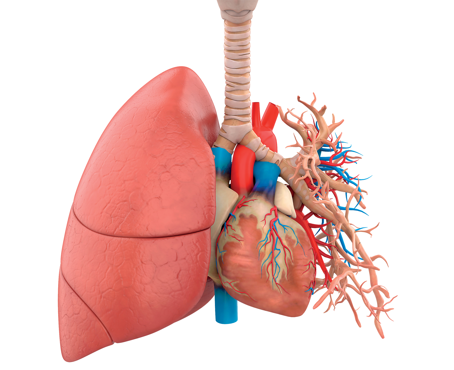 Πέρα από τον καπνό: Καρκίνος του πνεύμονα στους μη καπνιστές-1