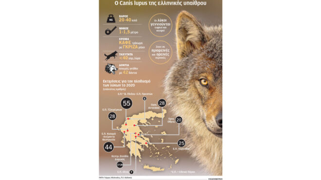 πάρνηθα-απομάκρυνση-λύκων-από-τον-εθν-563221084