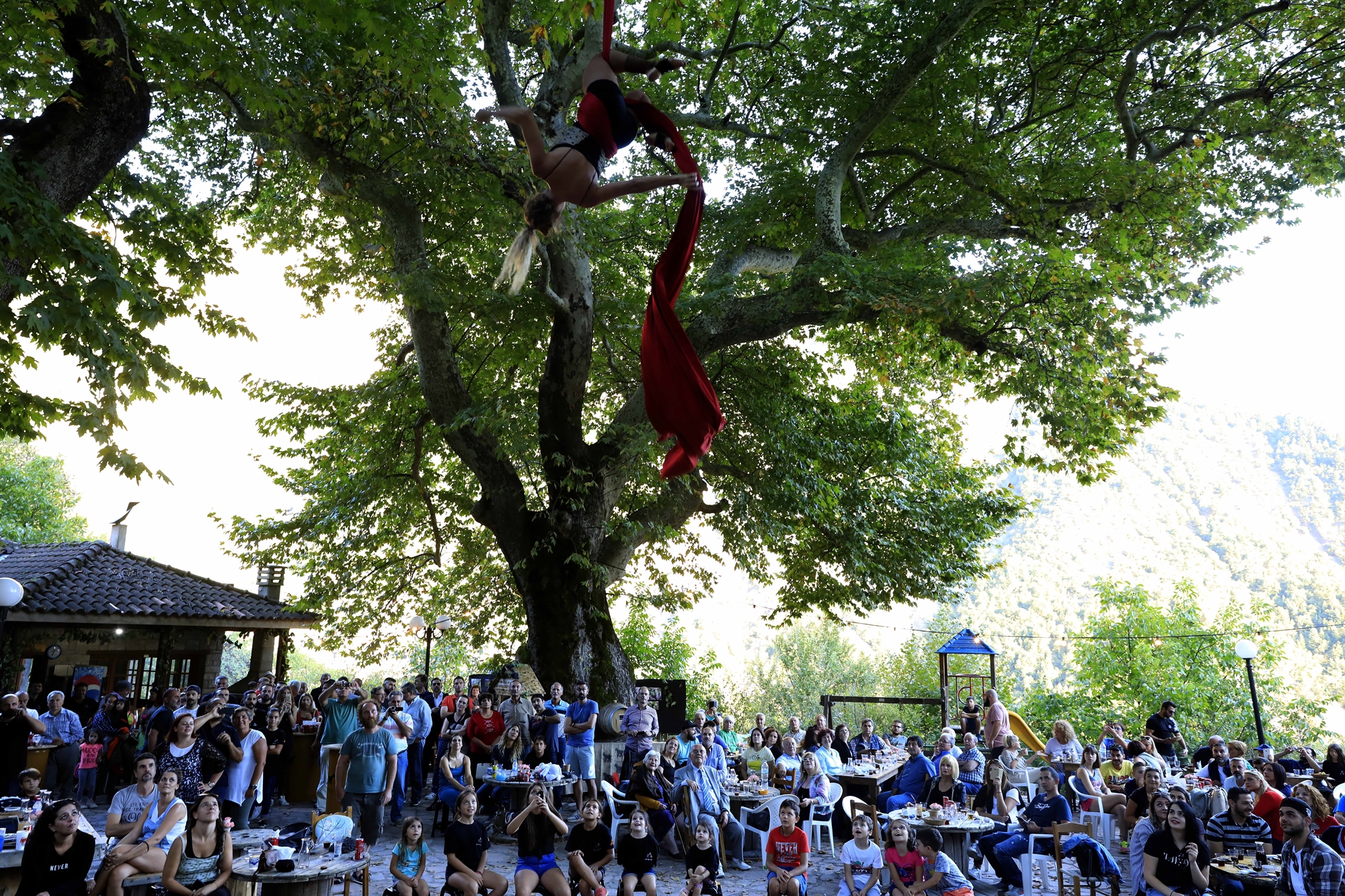 Τα εγγόνια της Χελιδόνας επιστρέφουν στις ρίζες τους-1