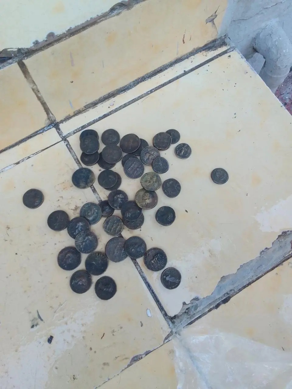 EΛ.ΑΣ.: Μεγάλη επιχείρηση σε καταυλισμό Ρομά στη Φυλή – Βρέθηκαν όπλα, σφαίρες και λίρες (βίντεο)-4