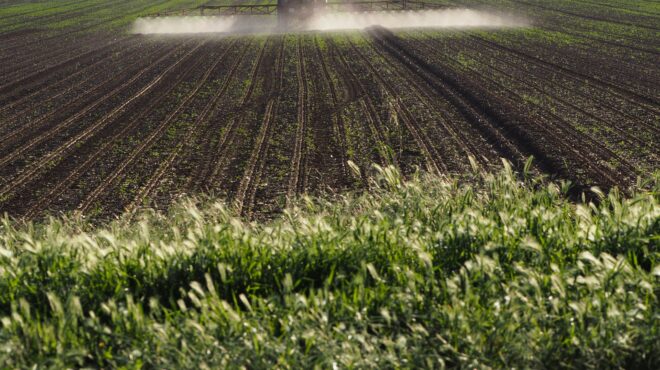 ο-αργός-αόρατος-θάνατος-του-αγρότη-563204305