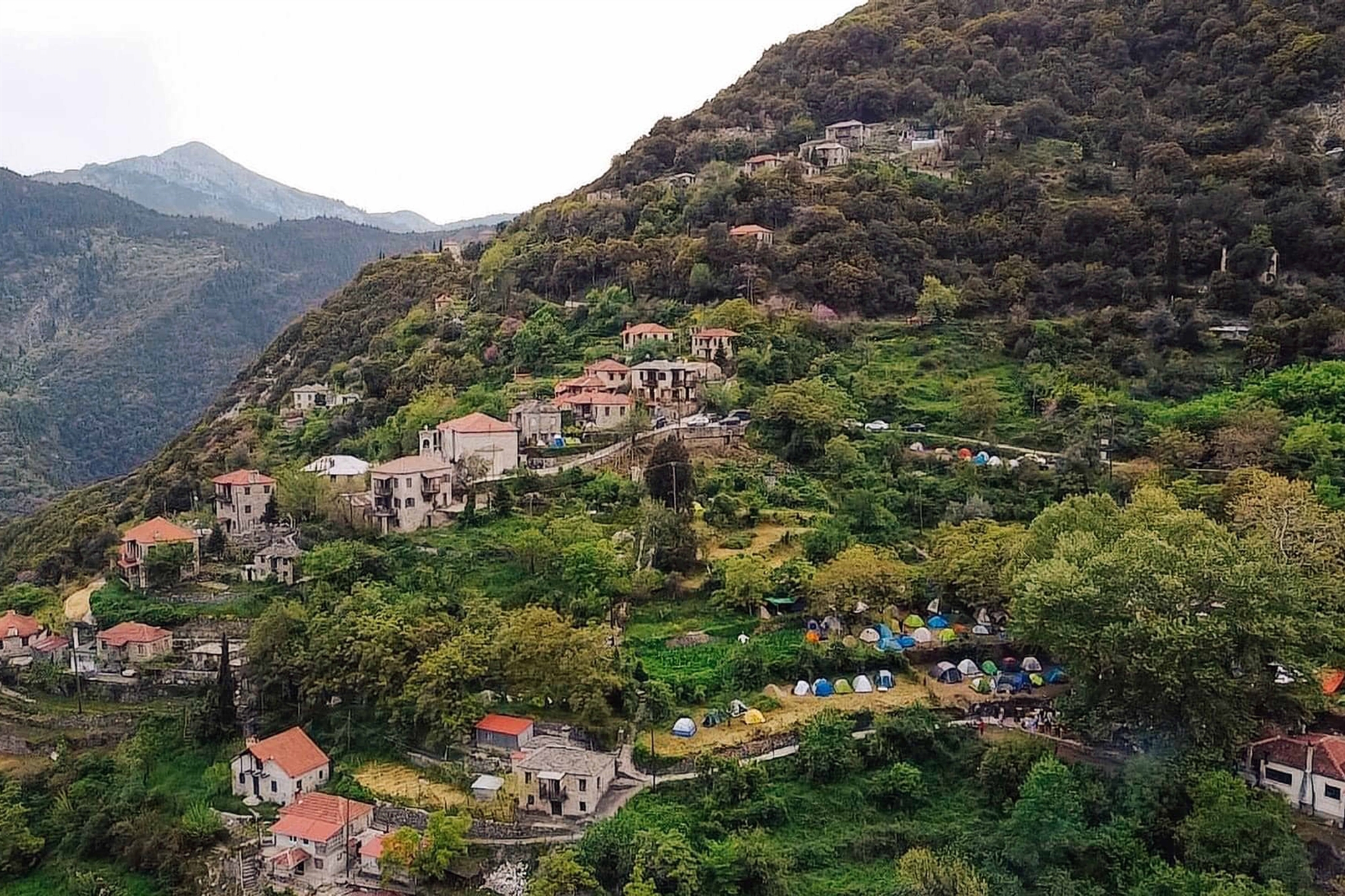 Τα εγγόνια της Χελιδόνας επιστρέφουν στις ρίζες τους-2