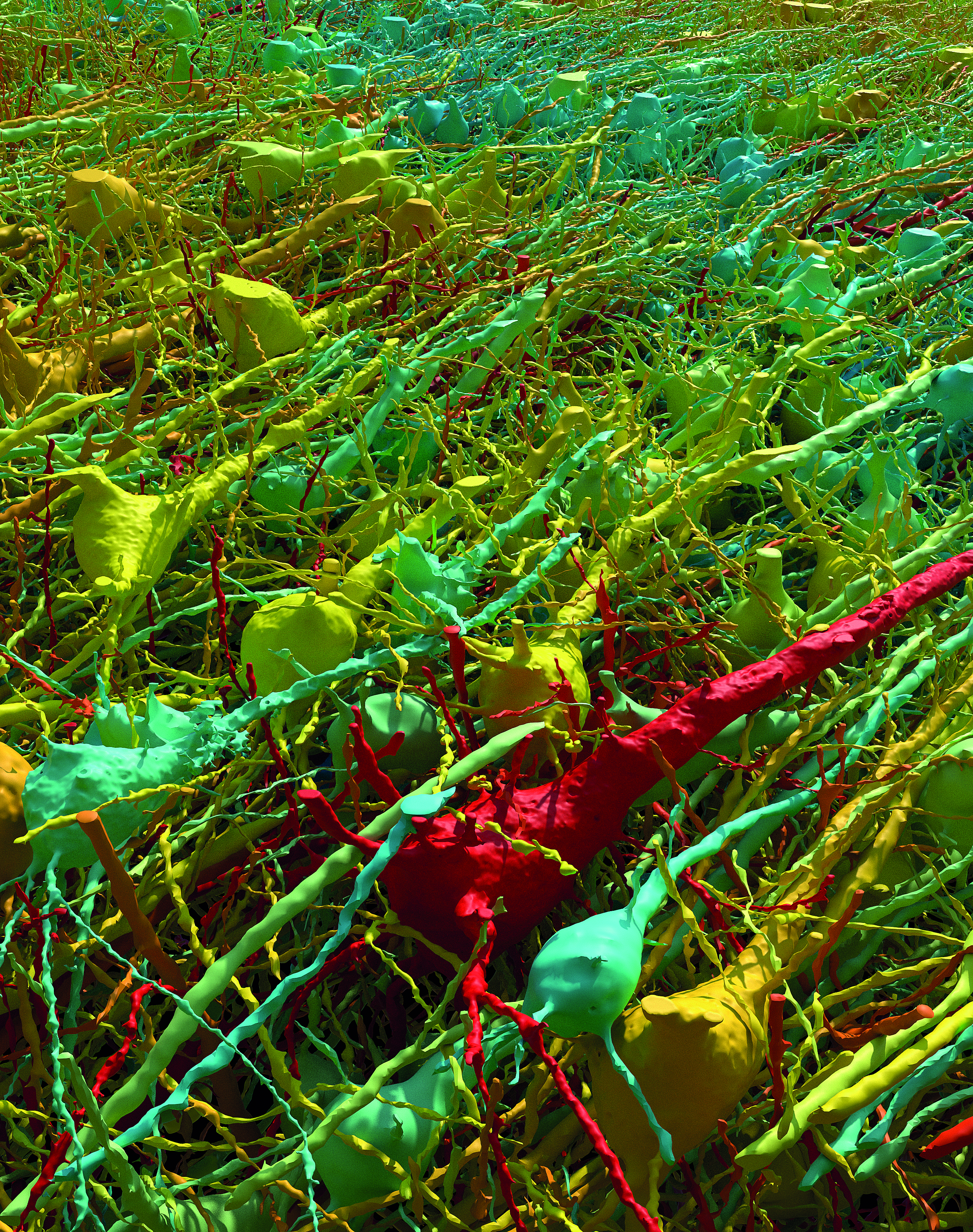 Γιατί ο Ελον Μασκ επενδύει πολλά δισ. δολάρια σε εγκεφαλικά εμφυτεύματα;-1