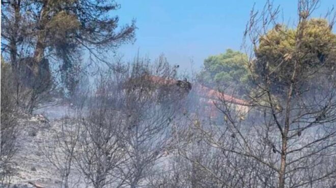 ζάκυνθος-δύο-πυρκαγιές-ταυτόχρονα-563203459