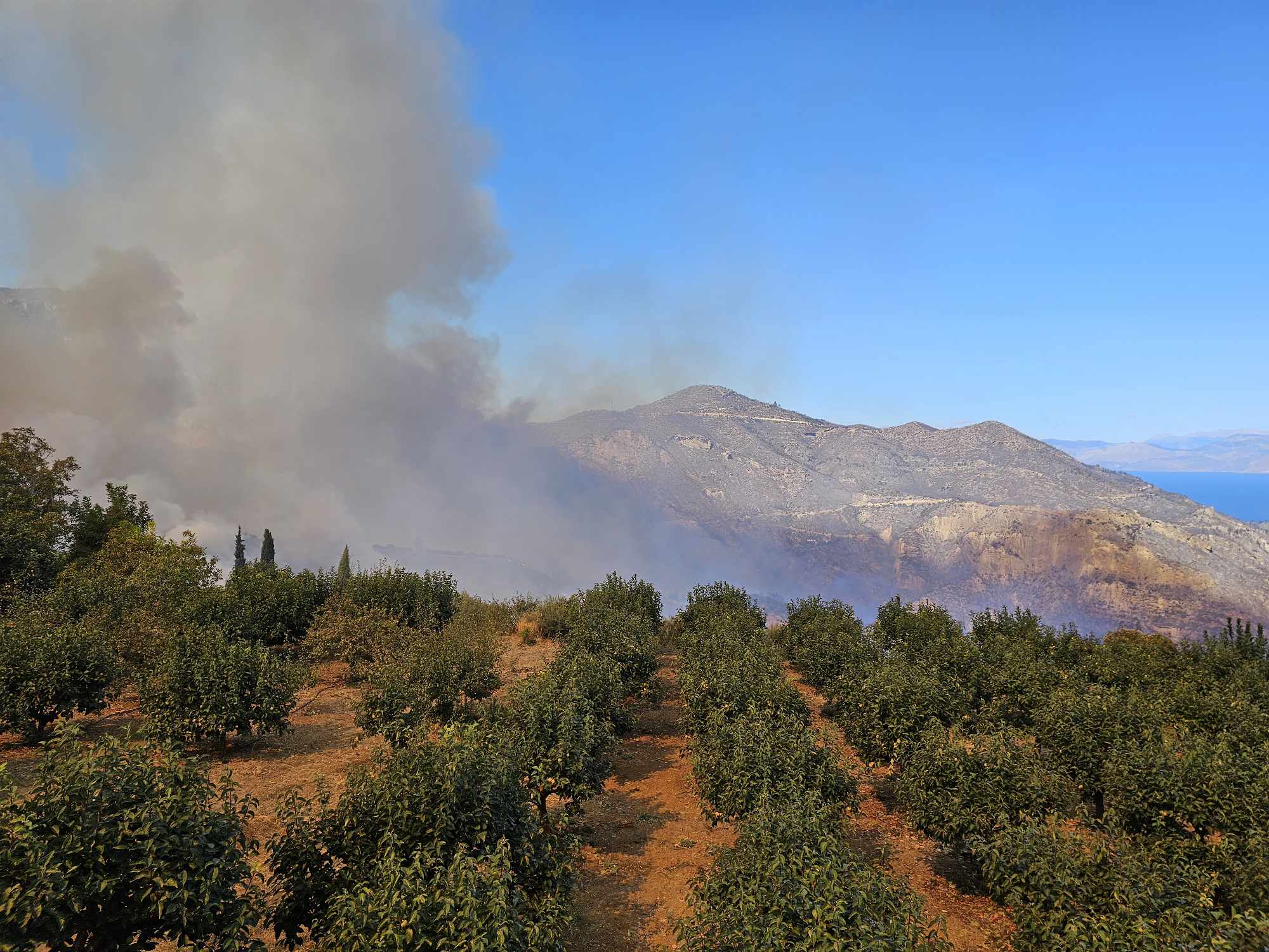 Φωτιά στην Κορινθία: Σε μήκος 32 χιλιομέτρων oι εστίες – Πώς εξαπλώθηκε γρήγορα η πυρκαγιά-2