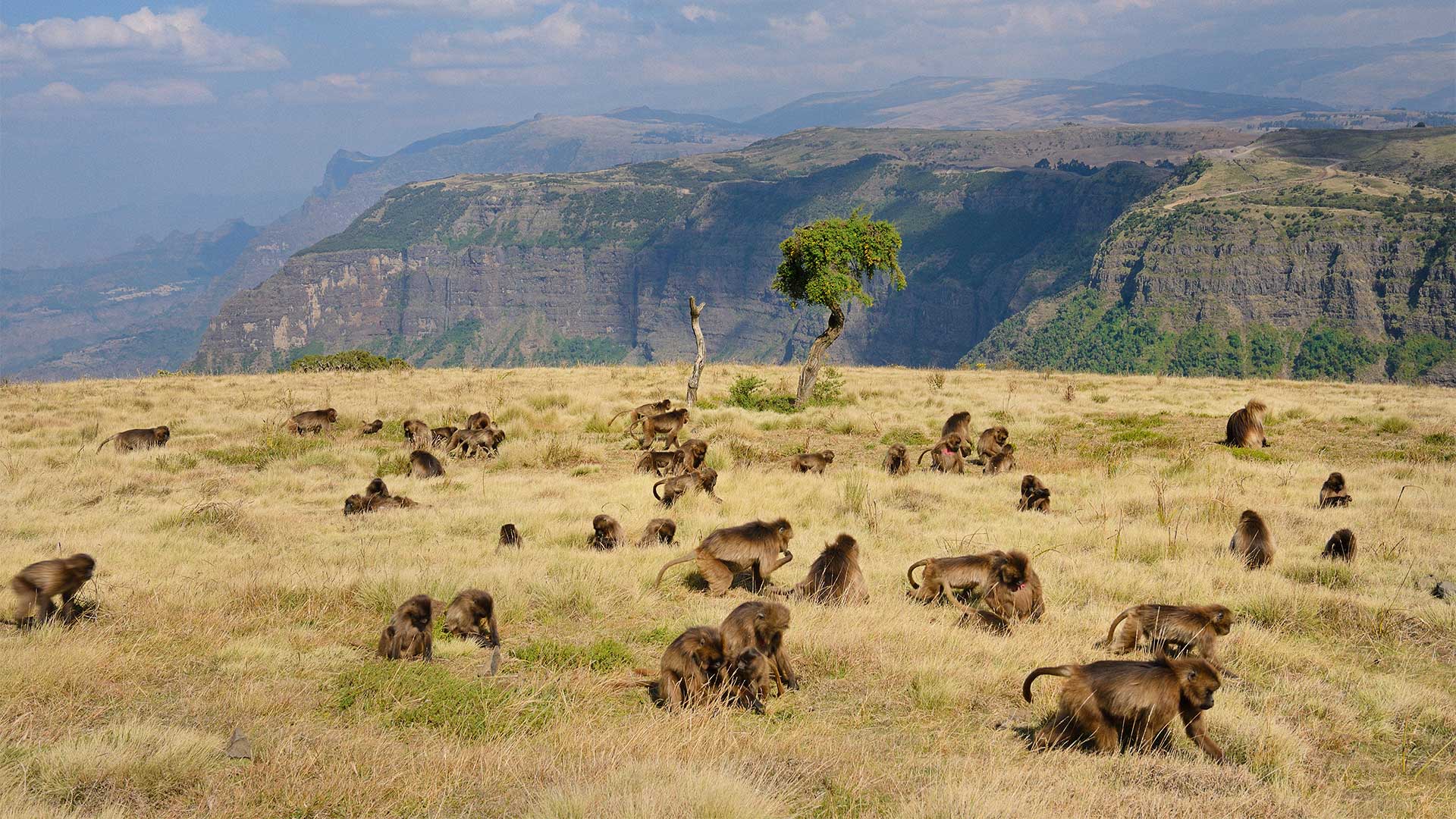 Η μαγεία της Αιθιοπίας: Από τη Λαλιμπέλα ως τις περήφανες φυλές-2