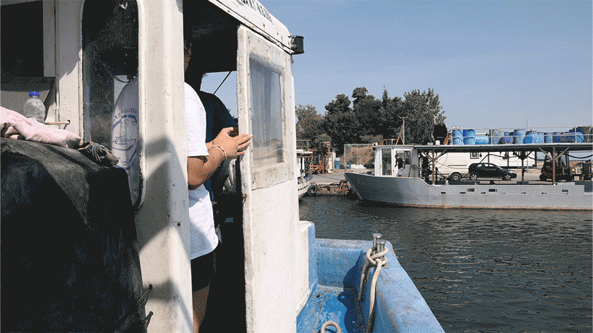 Στις μυδοκαλλιέργειες της Πιερίας «δεν έχει μείνει τίποτα ζωντανό»-16