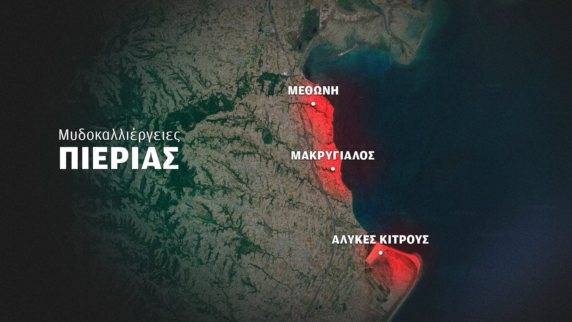 Στις μυδοκαλλιέργειες της Πιερίας «δεν έχει μείνει τίποτα ζωντανό»-12