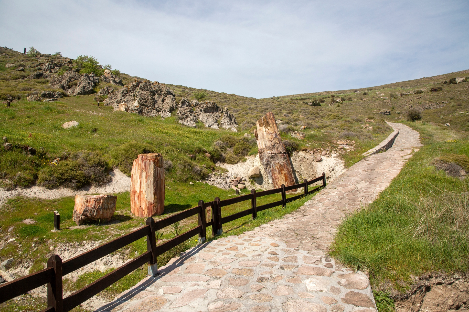 H Λέσβος φέτος είναι sold out-5