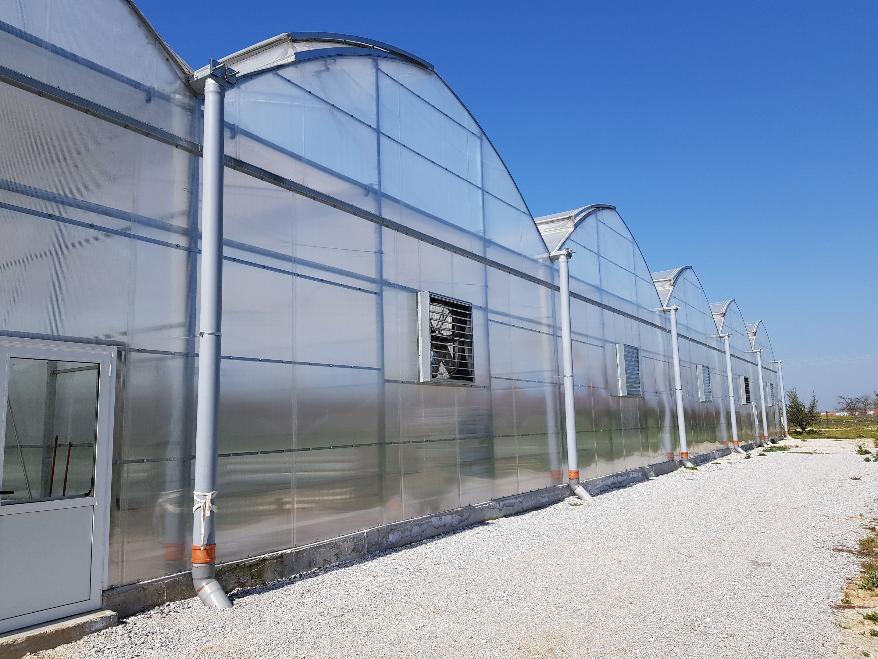 Από την υδροπονική ντομάτα στα μικροφύκη και στην παραγωγή ενέργειας-1