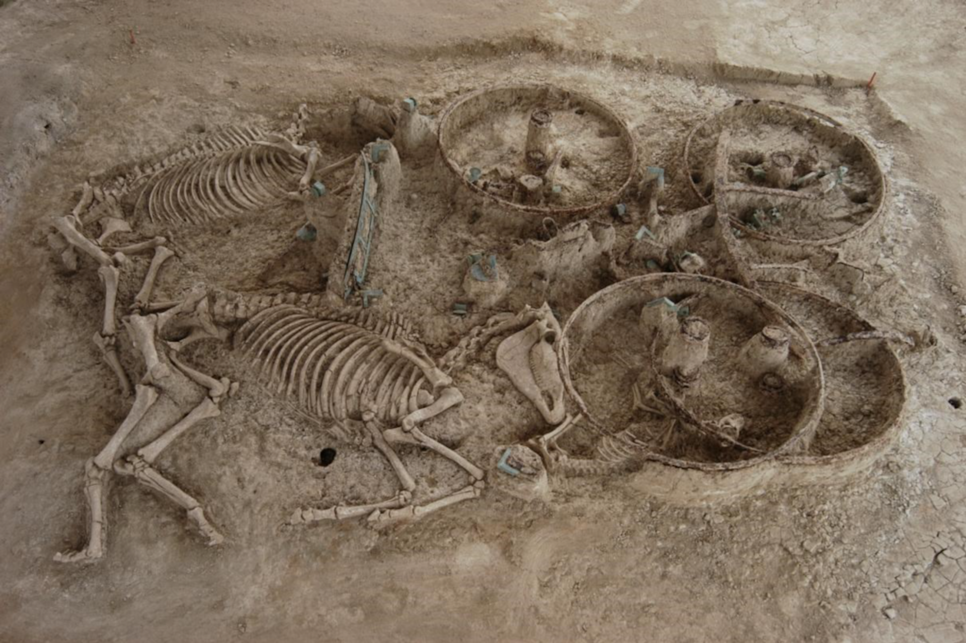 Εβρος: Σε εξέλιξη οι εργασίες για την ανάδειξη του ταφικού Τύμβου στη Δοξιπάρα-Ζώνη-1