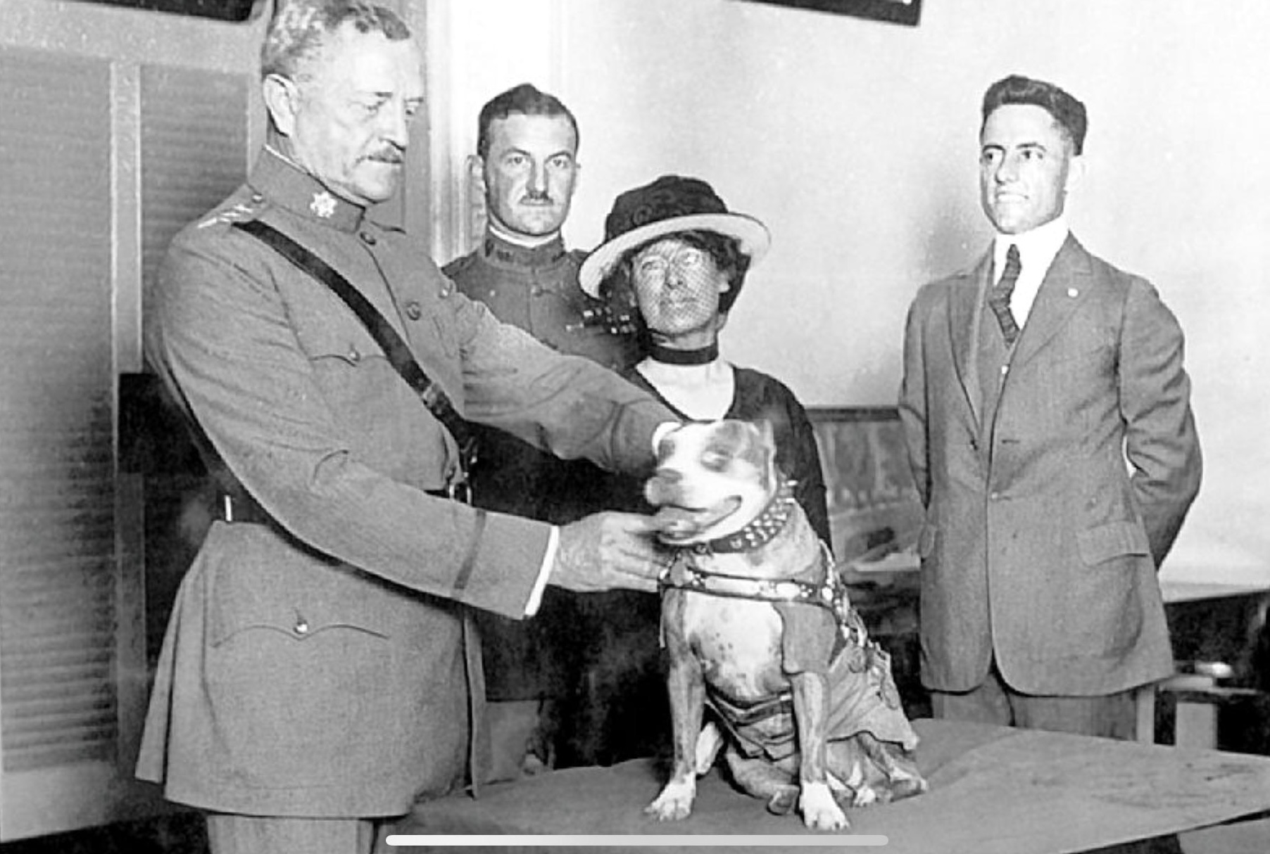 Τα ζώα των πολέμων-4