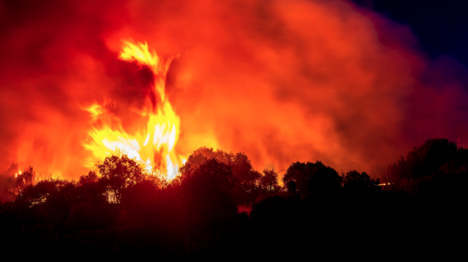ξυλόκαστρο-βασικός-ύποπτος-ο-αντιδήμ-563263915