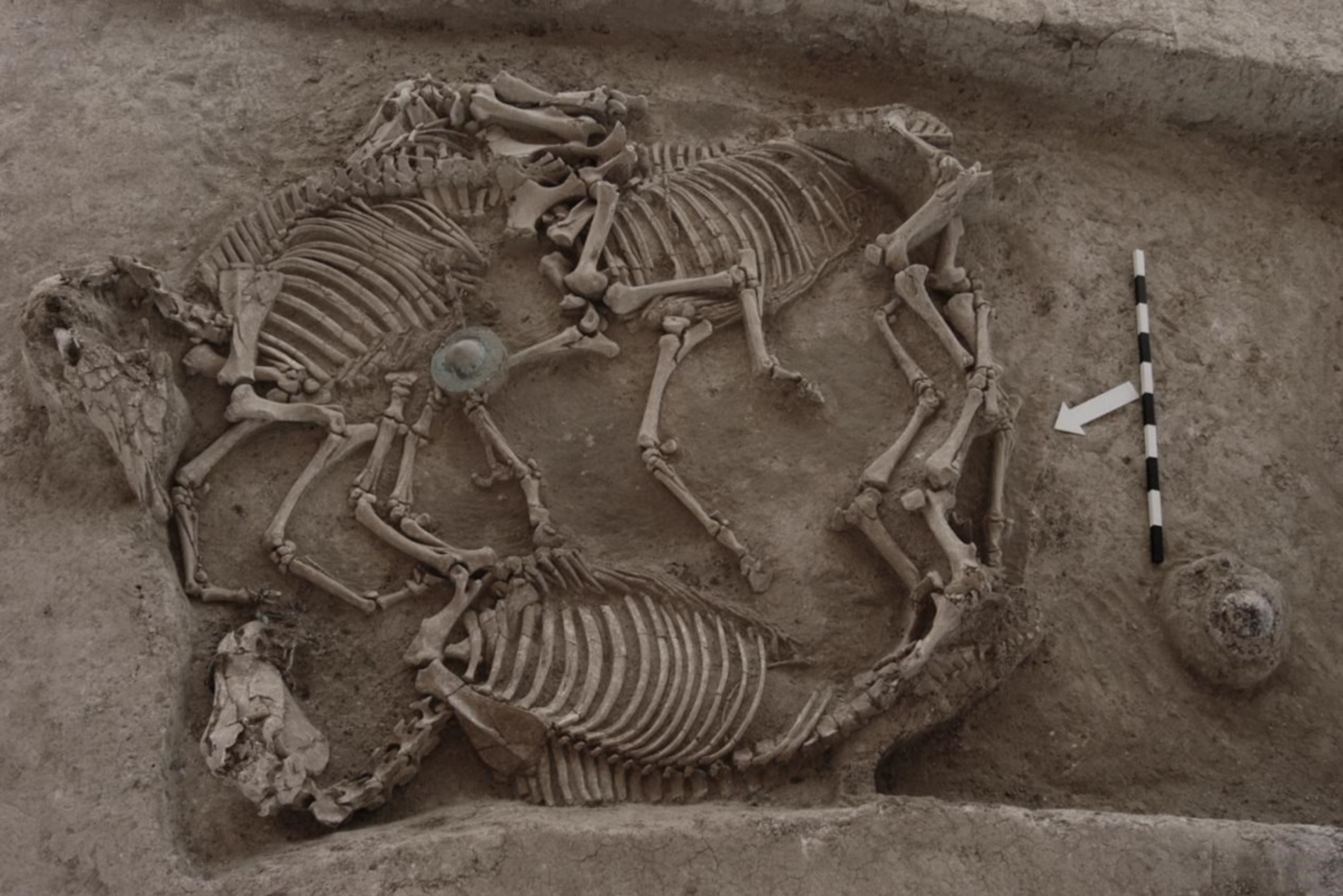 Εβρος: Σε εξέλιξη οι εργασίες για την ανάδειξη του ταφικού Τύμβου στη Δοξιπάρα-Ζώνη-2