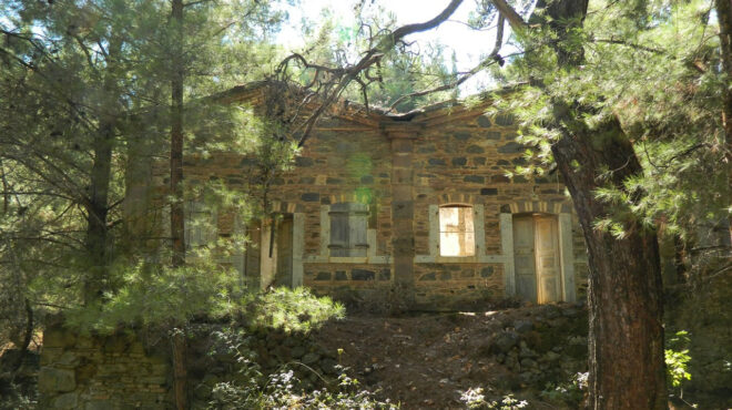 η-γιαγιά-της-κυψέλης-μεγαλώνοντας-έ-563278681