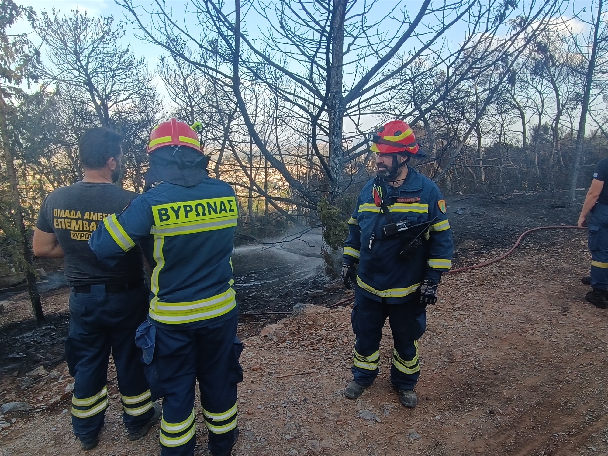 «Να βοηθήσουμε να σωθεί έστω κι ένα δέντρο»-1