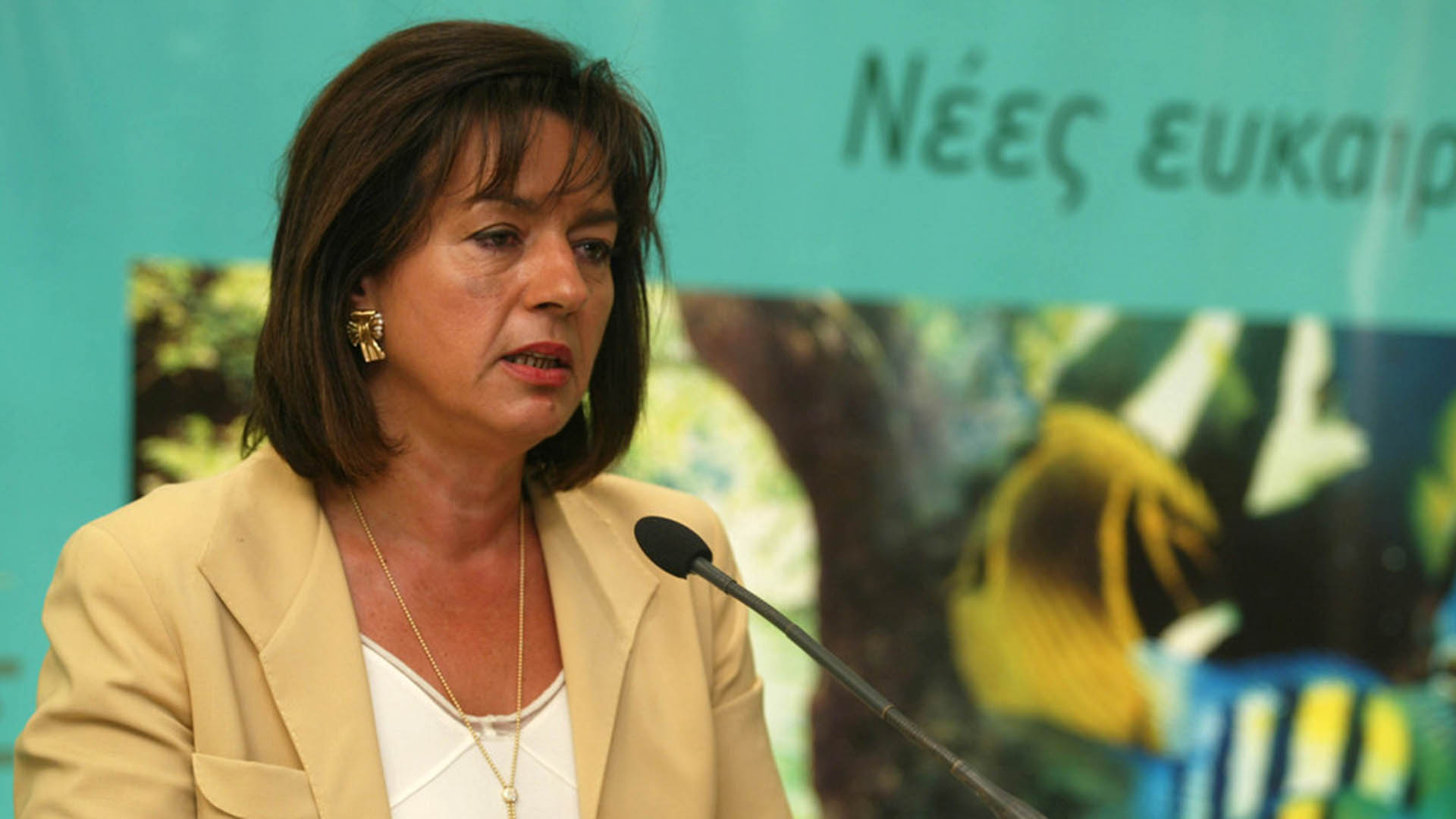 Βάσω Παπανδρέου: «Εθνική συνεννόηση σε σχέδιο ανάταξης της χώρας»-1