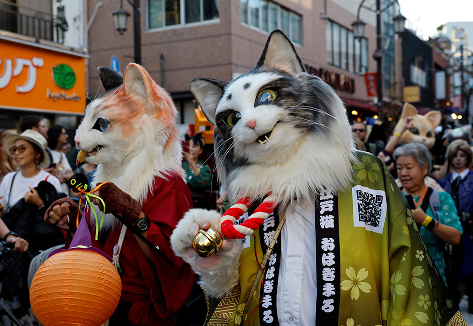 Μετεγκατάσταση-2