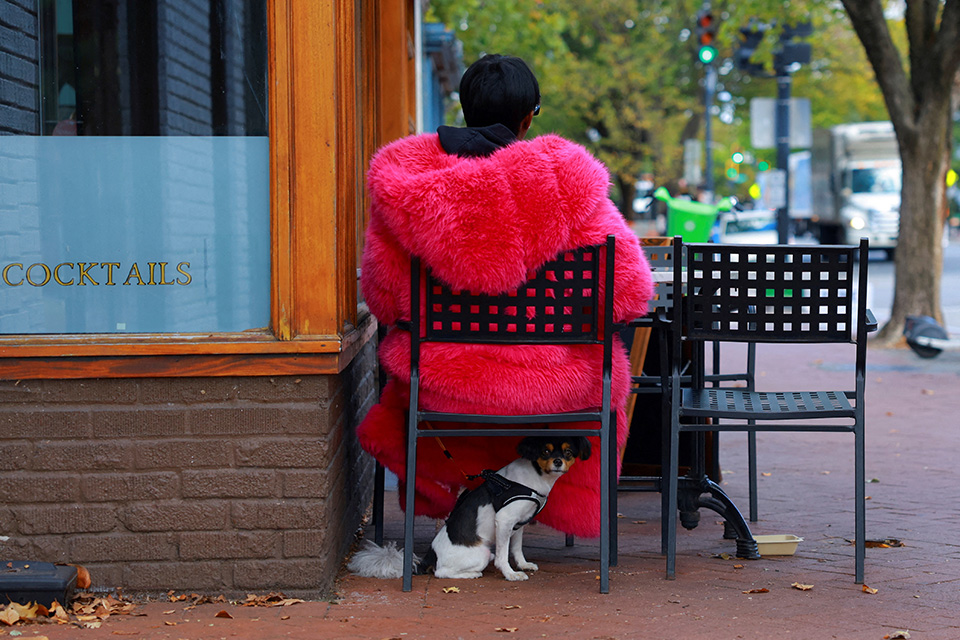 Ξεφλουδίζοντας τον καρχαρία-2
