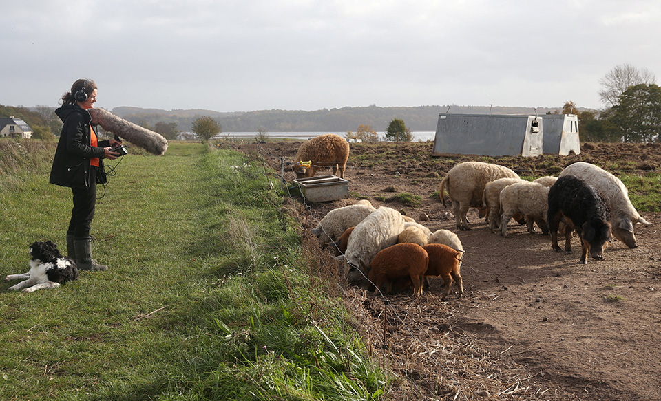 Οσοι δεν τα καταφέρνουν-2