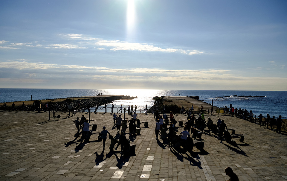 Καθαρόαιμα από πανί και ξύλο-3