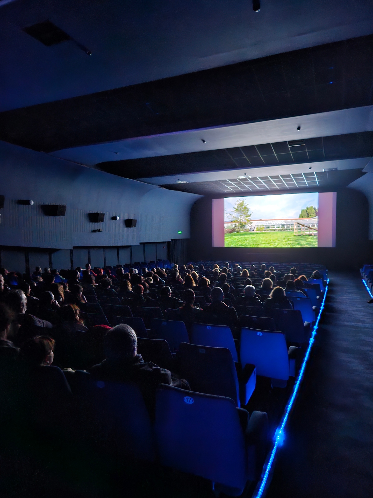 Γιατί επενδύουμε στα παλιά σινεμά της Αθήνας-2