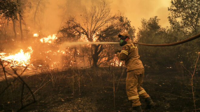 η-μυστηριώδης-διάνοιξη-δρόμου-στην-563261017