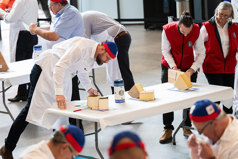 Βιόσφαιρα πόλης-1