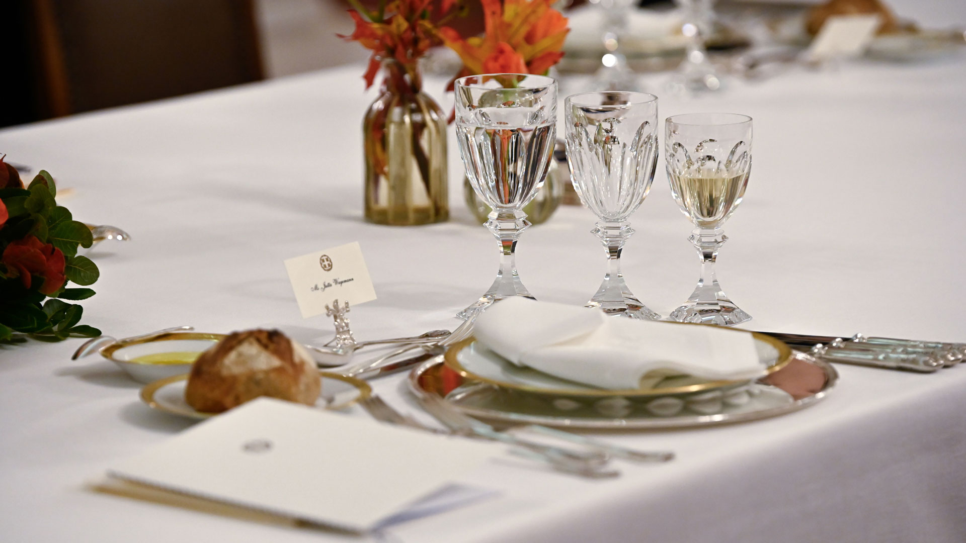 Δεξίωση στο Προεδρικό Μέγαρο προς τιμήν του Σταϊνμάιερ-4