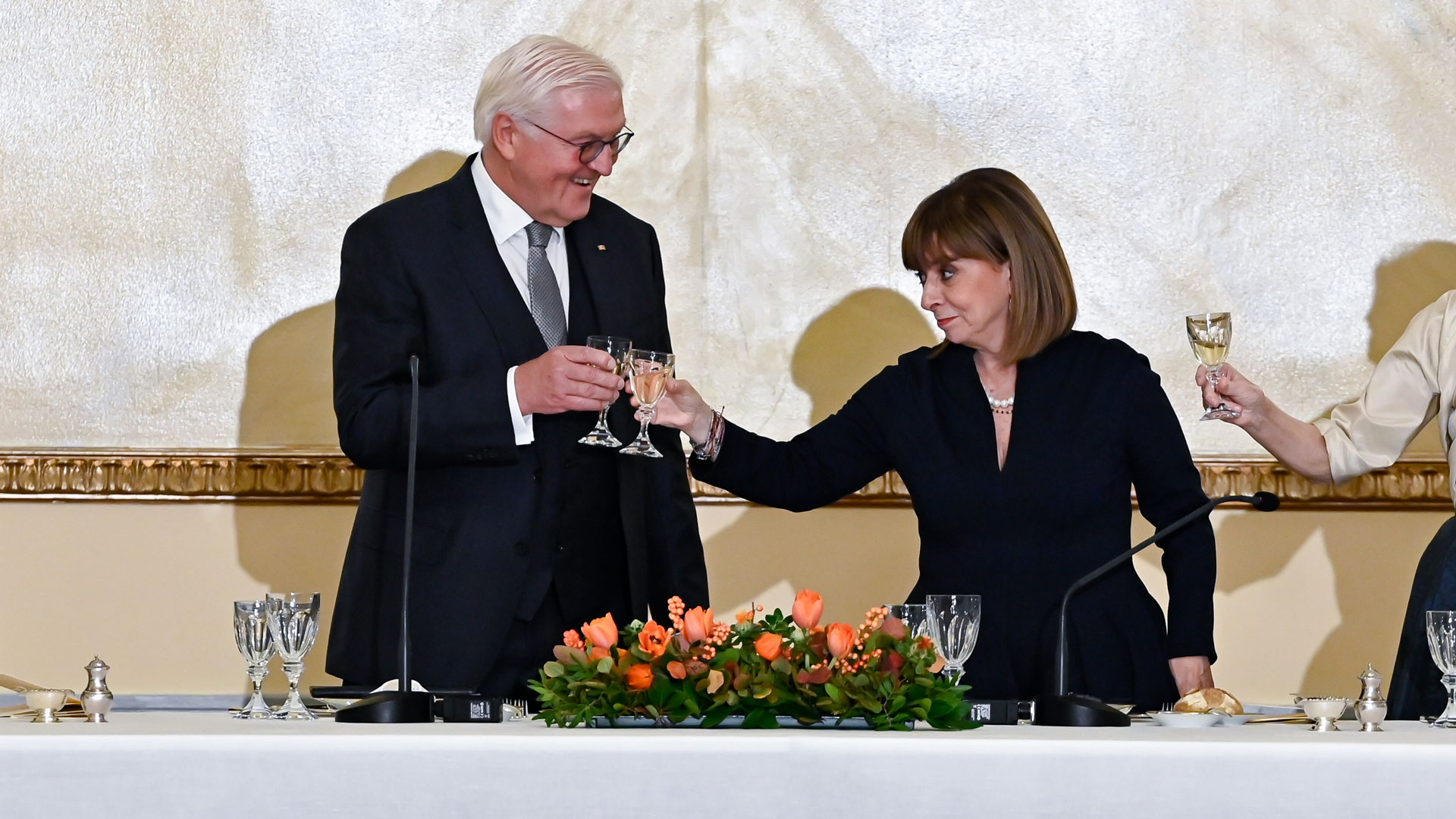 Δεξίωση στο Προεδρικό Μέγαρο προς τιμήν του Σταϊνμάιερ-3