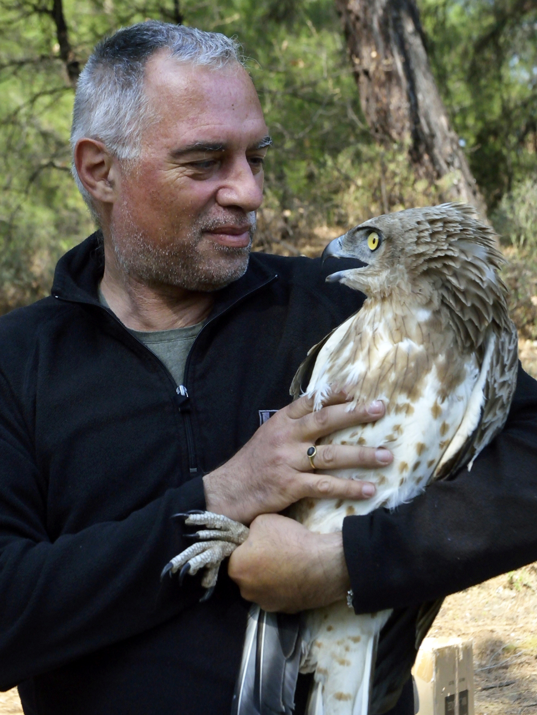 Στην «Αλκυόνη» τα άγρια ζώα κερδίζουν μία δεύτερη ζωή-1